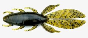 4" Pro Bug 25ct - Green Pumpkin