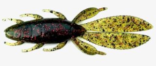 4" Pro Bug 25ct - Watermelon Red