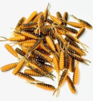 1.75" Tattle Tail - 100ct