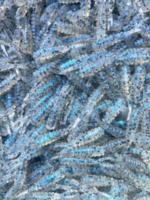 1.75" Tattle Tail 100ct - Slick